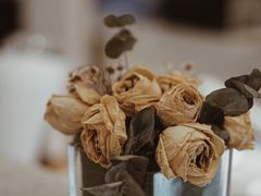 -Fridi Patisserie Cafe