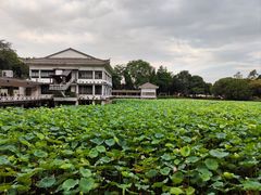 -荔湾湖公园