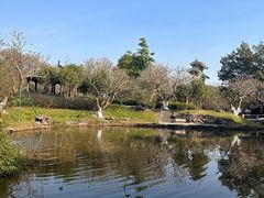 -番禺大夫山森林公园
