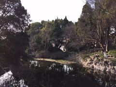 -叶家花园