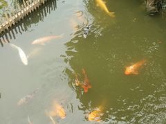 -檀园