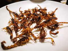 -老江南春·中国龙菜(衡山路店)