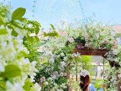 -南昌之星摩天轮