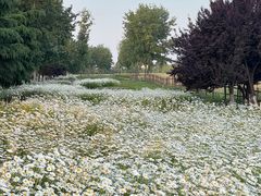 -汉长安城未央宫国家考古遗址公园