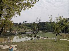 -铁山坪森林公园