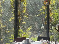 -肴约·花园式餐厅(湖里店)