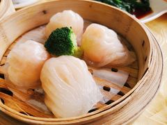 蝦餃-荔枝柴烧鹅酒家(坦洲分店)