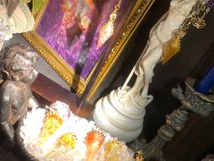 -雪灵魔法世界SHELLY’S TAROT(大良桂畔里店)