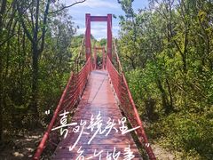 -上海吴淞炮台湾国家湿地公园