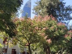 -厦门大学(思明校区)