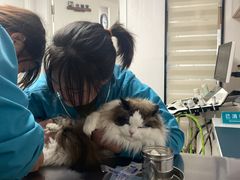 -派联宠物医院·24h·CT·异宠