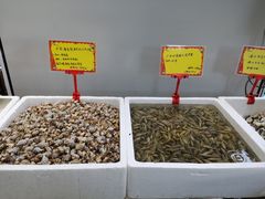 -蚝专家(北滘店)