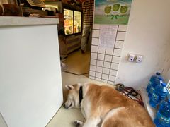 -餐酒吧Com-ing Bar(上海路店)