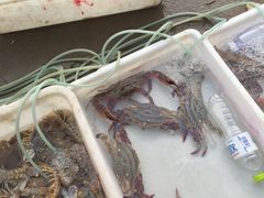 -青岛沙子口国家中心渔港