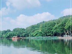 -西湖游船