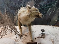 -陕西自然博物馆