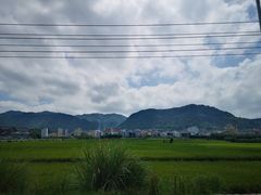 -北岐滩涂