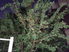 -西安长征华美达酒店