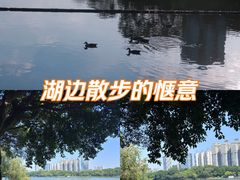 -南宁南湖公园