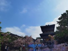 -茅山东方盐湖城景区