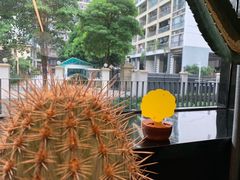 -TOP健身私教工作室(侨香店)