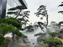 -罗红摄影艺术馆