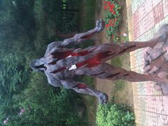 -南戴河国际娱乐中心