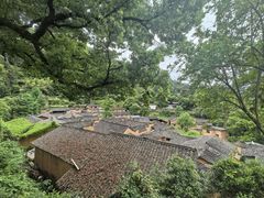 -杨家堂村