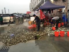 -蚝专家(北滘店)