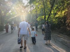 -滴水岩森林公园