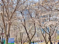 -西北湖绿化广场