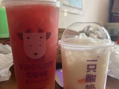 -一只酸奶牛(春熙路店)