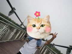 -西青郊野公园