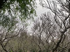 -晓港公园