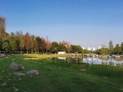 -合肥生态公园