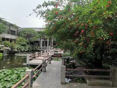 -桃园盛宴·岭南粤菜·手工茶点(南庄店)