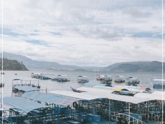 -阳光海岸