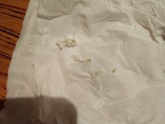 -松子料理(白家庄店)