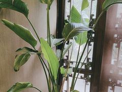 -宋宴(虎跑店)
