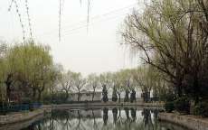 -咸阳湖景区-古渡公园