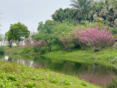 -瑶湖湿地自然保护区