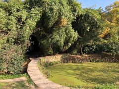 -贵阳市花溪国家城市湿地公园