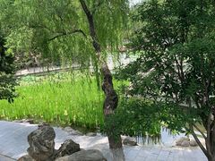 -莲湖公园