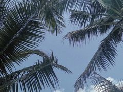 -玫瑰海岸文化旅游度假区