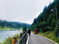 -武陵山森林公园