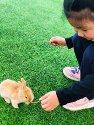 -萌宠亲子动物乐园(槐房万达店)