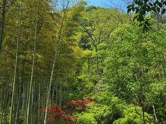 -黄公望隐居地