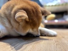 -小时光咖啡馆(开森度假森林店)