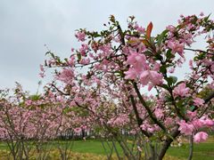 -上海山野camping·户外天幕烧烤·团建拓展营地