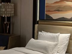 -长沙富力万达文华酒店